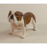 John Beswick Model of English Bulldog, length 15cm