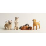 A collection of Royal Doulton dogs to include Cocker Spaniels sleeping HN2590, Cairn terrier begging