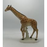Royal Dux large model of a Giraffe, height 32cm