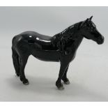 Beswick Gloss Black Fell Pony 1647, no backstamp