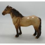 Darker Beswick Dunn Highland Pony 1644