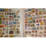 Thousands of world stamps including mint and used in thick albums and stockbooks. A superb