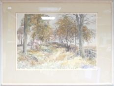 Reginald George Haggar 1905-1988, watercolour painting of Trees at Jacobs Ladder, Trentham, signed