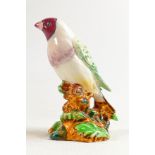 Beswick Gouldian Finch 1179, unusual lighter decorated version.
