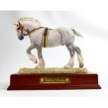 Large limited edition Border Fine Arts B0888A The Champion Shire Grey Horse figurine, signed Anne