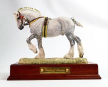 Large limited edition Border Fine Arts B0888A The Champion Shire Grey Horse figurine, signed Anne