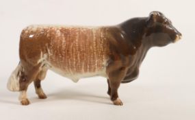 Beswick Dairy Shorthorn bull 1504.