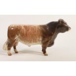 Beswick Dairy Shorthorn bull 1504.