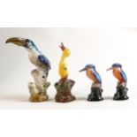 A collection of Birks Rawlins / Savoy Pottery figures of birds including Toucan, Kingfishers &