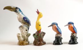 A collection of Birks Rawlins / Savoy Pottery figures of birds including Toucan, Kingfishers &