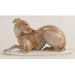 Rosenthal model of a seated greyhound, L17 x h.9cm.