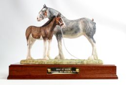 Border Fine Arts limited edition Horse Best at Show, Clydesdale with Foal at Foot, signed Anne Wall.