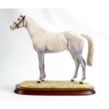 Border Fine Arts limited edition Horse BO241B Grey Thoroughbred Stallion, signed Anne Wall.