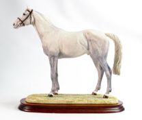 Border Fine Arts limited edition Horse BO241B Grey Thoroughbred Stallion, signed Anne Wall.