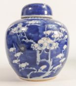 19th century Chinese blue & white ginger jar, decorated with blossom, height 19cm.