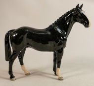Beswick black Hunter horse, model No.H260 issued in 2005 in a worldwide limited edition of 139/500