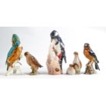 Goebel gloss figures of birds including Kingfisher CV123, Spotted Woodpecker, Snipe CV71, Grouse