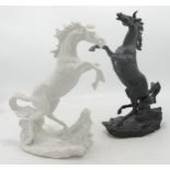 Battling Stallions, by Edward D. Hart, black and white porcelain bisque horse figures, 26cm high(2)