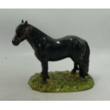 Royal Doulton Shetland Pony: RDA56