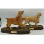 Beswick connoisseur matt model of The Retriever on oval base & similar Spaniel(2)