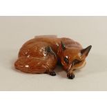 Beswick Curled Fox 1017