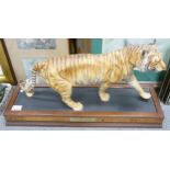 Franklin Mint large figure of a Bengal Tiger titled On The Prowl, length of base 64cm