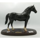 Beswick ware Welsh Cob Stallion: on wooden plinth, damaged at all four legs