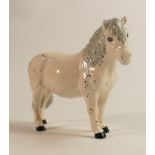 Beswick Spotted Shetland Hollywell Dixie, Special Edition for UKIC