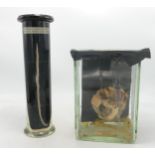 Two Unsealed Glass Specimen bottles & contents(2)