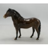 Beswick Exmoor Pony 1645