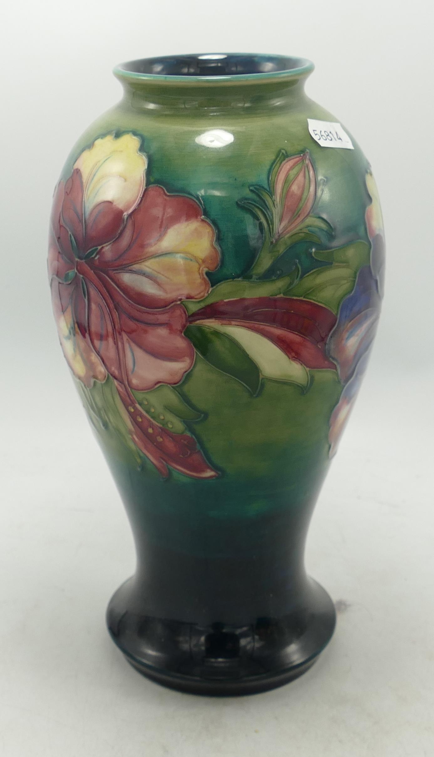 1950's Moorcroft Hibiscus on Fading Green Ground Vase, height 25cm