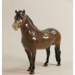 Beswick Exmoor Pony 1645