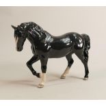 Beswick Gloss Black Stocky Jogging Mare 855 , BCC Gold Stamp dated 2005