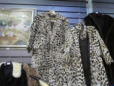 Two old Leopard fur coats by Faulkes Edgbaston and Herbert Duncan, London