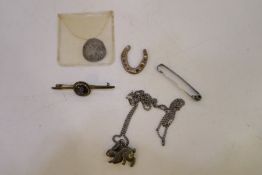 A coin, with a silver horseshoe, a necklace with a rabbit, and some pins including silver. Horseshoe