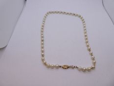 Pretty single row pearl necklace with 9ct yellow gold clasp, marked 375, each pearl separated by a s
