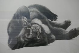 Richard Symonds, a pencil signed of young bear 'Jasper Time' 57.5 x 40cm