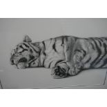 Richard Symonds, a pencil signed limited edition print of lying Tiger snoozing, 50.5cm x 33cm