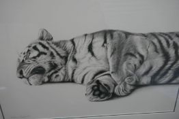 Richard Symonds, a pencil signed limited edition print of lying Tiger snoozing, 50.5cm x 33cm