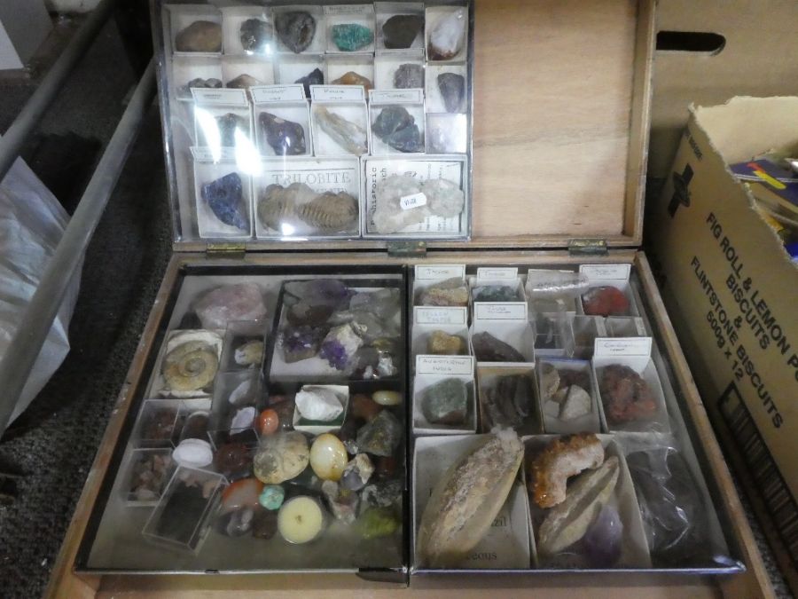 Wooden box containing a quantity of fossils, minerals and similar