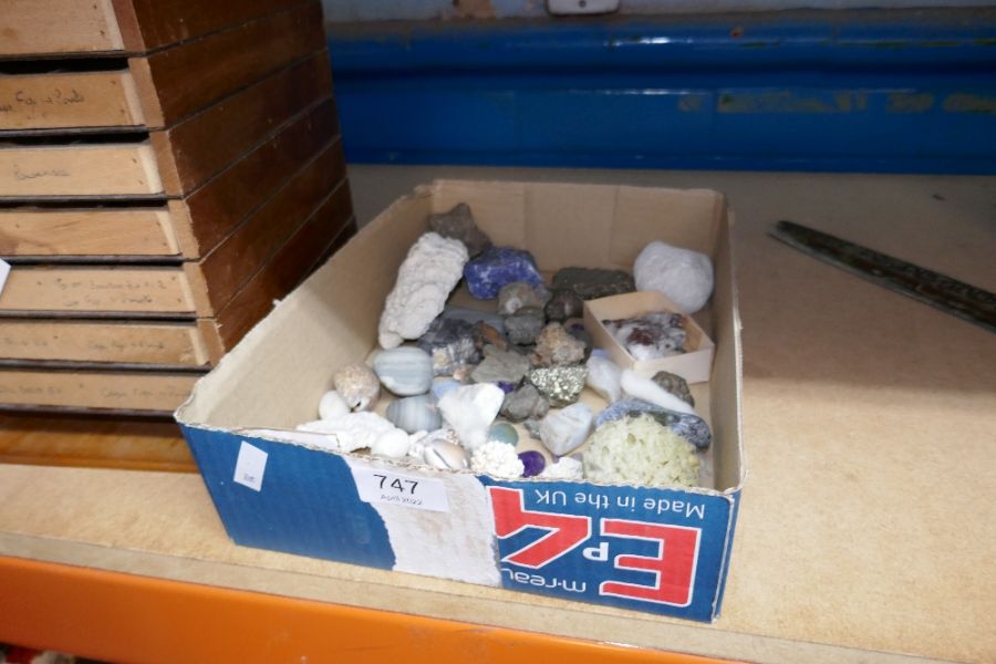 Two boxes of rock specimens, fossils etc and a bank of specimen drawers - Image 2 of 3