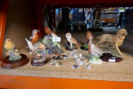 Collection of model birds and animals including Beswick, Acorn, Goebel, Coalport etc