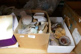 Large quantity of rock specimens, fossils, quartz, etc