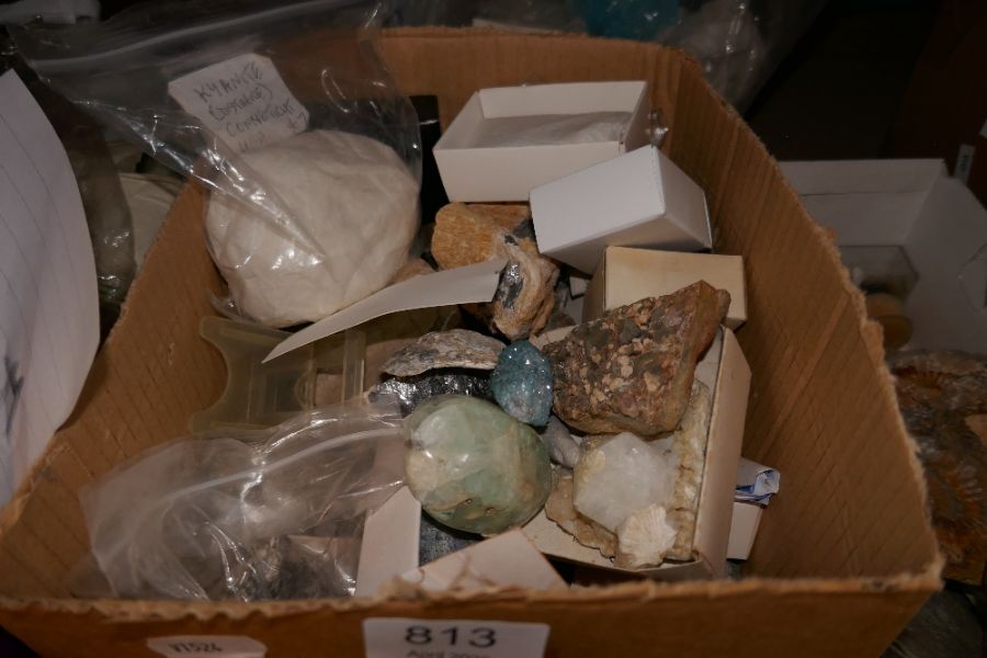 Large quantity of rock specimens, fossils, quartz, etc - Image 4 of 4