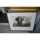 Charcoal print entitled 'The Elephant' 4/76 by Peter Nor