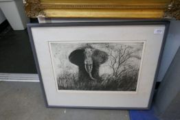 Charcoal print entitled 'The Elephant' 4/76 by Peter Nor