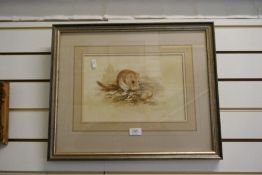 A watercolour of mouse eating hazelnut by David Parry, signed 33 x 21cm