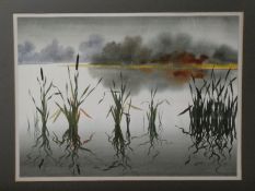 Douglas Haddow, a watercolour of bulrushes, signed, 44.5cm x 32.5cm