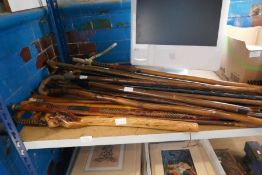 A large selection of walking sticks, including silver topped, bone handled, some concealing umbrella