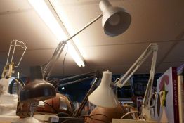 Three anglepoise lamps
